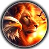 raimaqsood76