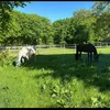 louisa_991
