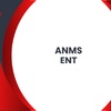 ANMS ENTERPRISE - Consultant