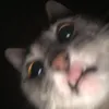 gabigirl74