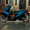 tamay558