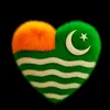 zainkashmiri313