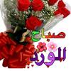 abu00naif