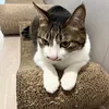 wendyhahaaa