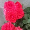 sedra.dlshad