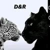 dnya8147