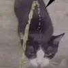 banamndzfcy