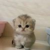wai.lin083