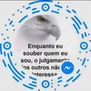 user8574427485007
