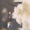 ___x__xsounds1