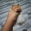 mikodelacruz34