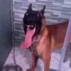 wuttbap0