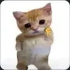 l0b0t0mize_me_plzzz