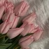 marwa22765