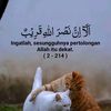 slfia_06