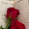 user2215515382600