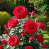 m.basheer048