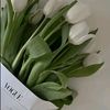 auliaaaa629
