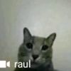 reef_nothim