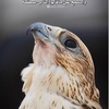 abo.abdulaziz694