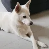 karynaa_k
