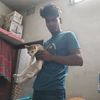 mdalim8614