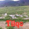 ebrahimmacammad10