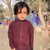 shadib.jn