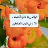 dshhade5