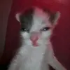 vask0u._