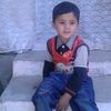 hamzamuhammad4286