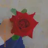 kloodsy5