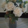 jasmin31168