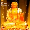 02tiktok.comhun6