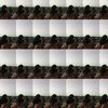 xahraaaaaaaaaa1