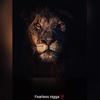 softlion2