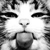 zmbi3wrld