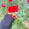 saraw782