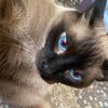 sebas67379