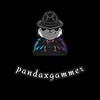 pandaxgammer