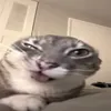 khanghey8