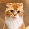 user22224466