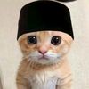 rehan.fajar53