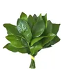 giaule765