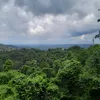 tngphan417