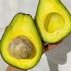 a.d_avocado