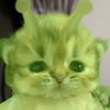 aly_syaa3