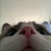 littleplut0o0