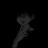 .xyzzz_paldo._