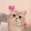 shesunbox